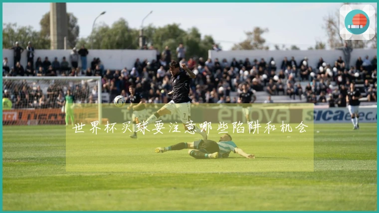 世界杯买球要注意哪些陷阱和机会