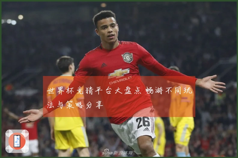 世界杯竞猜平台大盘点 畅游不同玩法与策略分享